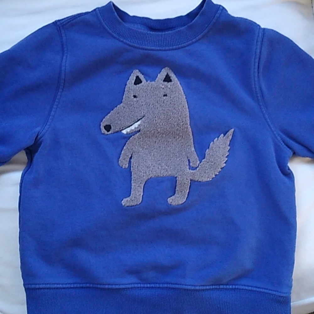 Hannah Anderson Size five Blue wolf sweatshirt